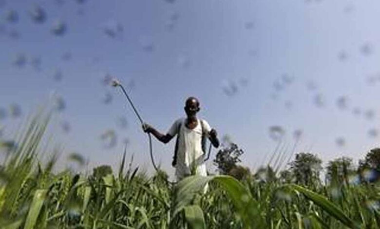 अगले पांच साल तक जारी रहेगी प्रधानमंत्री फसल बीमा योजना