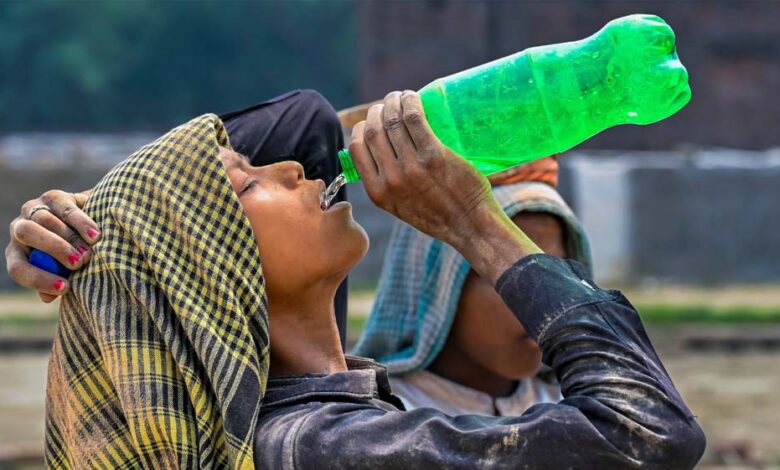 MP में भीषण गर्मी का कहर, जानवरों के लिए लगाए कूलर-ग्रीन नेट; 6 जिलों में हीटवेव अलर्ट