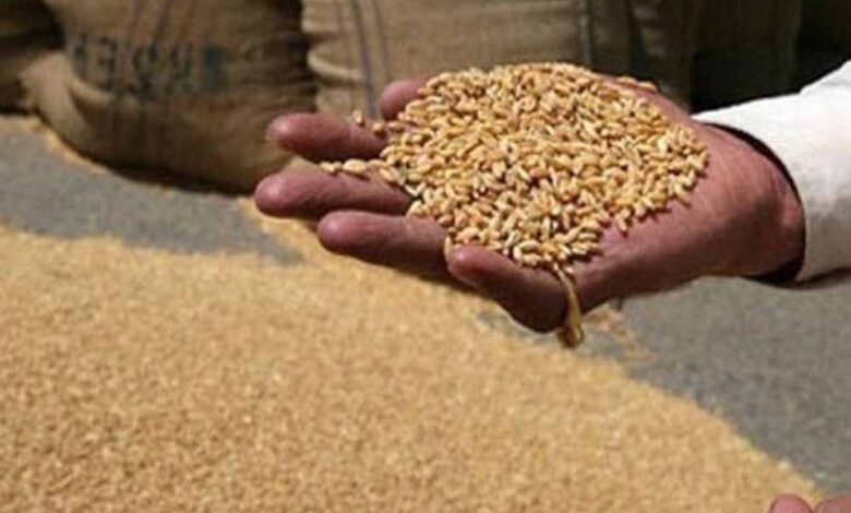 समर्थन मूल्य पर देश में सबसे अधिक 13.10 लाख किसानों से हुआ गेहूं का उपार्जन