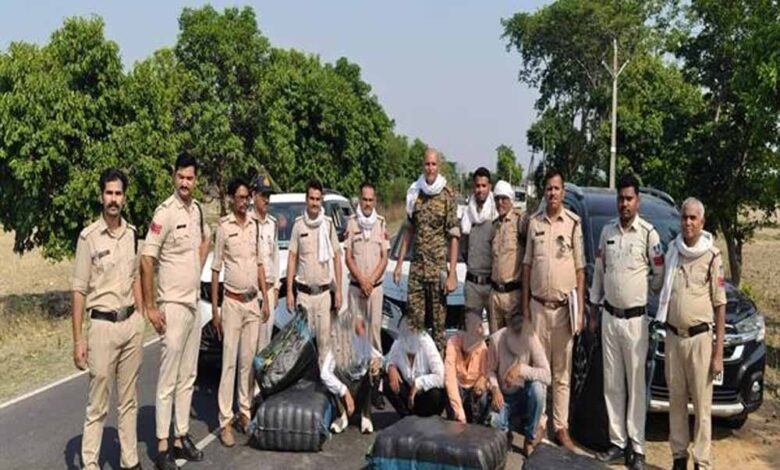 मध्यप्रदेश पुलिस की नशे के विरुद्ध प्रभावी कार्यवाही