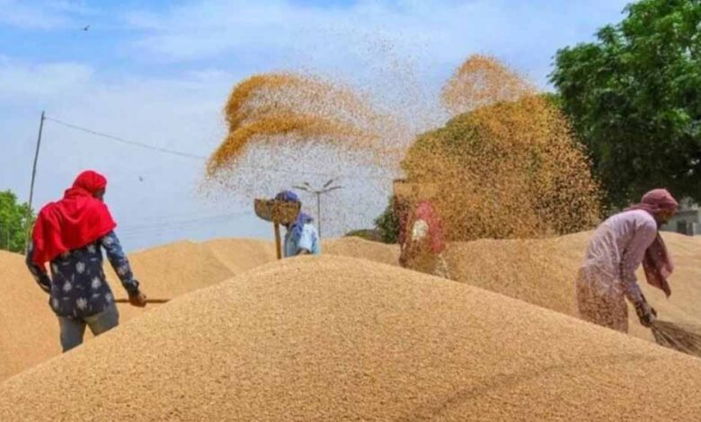 जलवायु परिवर्तन का गेहूं उत्पादन पर खतरा, बढ़ती गर्मी से गुणवत्ता और पैदावार प्रभावित