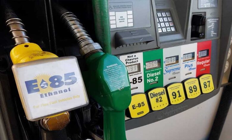 e85-पेट्रोल-की-होगी-एंट्री,-रेगुलर-फ्यूल-से-सस्ता-विकल्प;-पेट्रोलियम-मंत्री-ने-दिए-संकेत