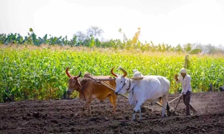प्रधानमंत्री  मोदी शनिवार को जारी करेंगे किसान सम्मान निधि की 23वीं किश्त