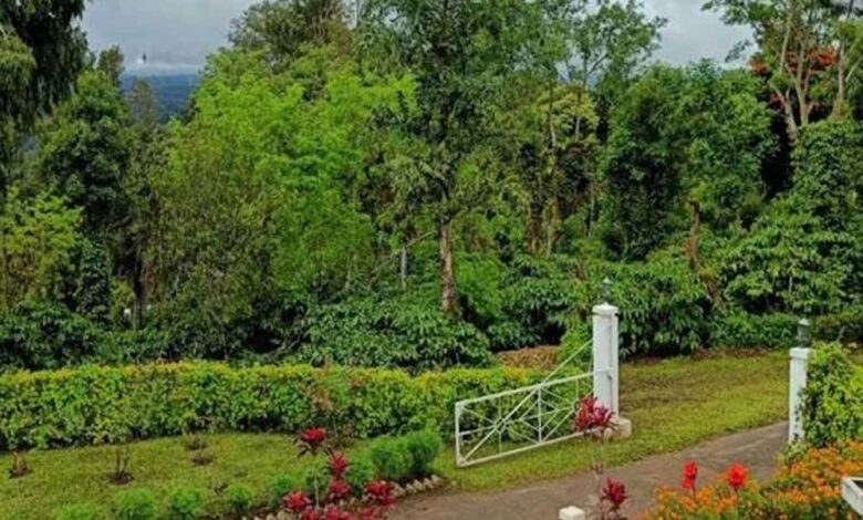 प्राकृतिक सौंदर्य, कॉफी बागानों और जनजातीय संस्कृति की अनूठी पहचान है बैतूल का कुकरू खामला
